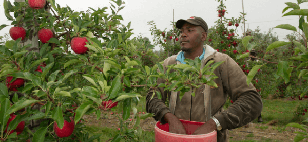 Temporary Foreign Worker Program 