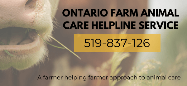 Farm Animal Care Helpline 