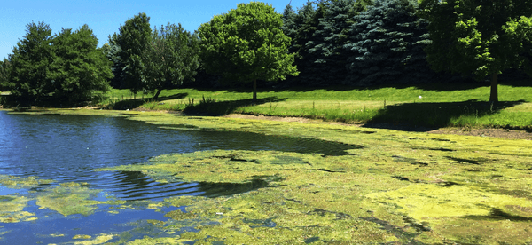 Strategies to reduce nutrient runoff from agricultural land in the Lake Erie watershed.