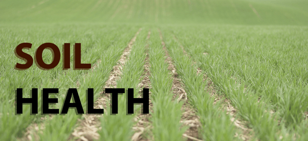 Soil Health