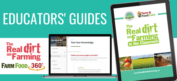 Educators’ Guides