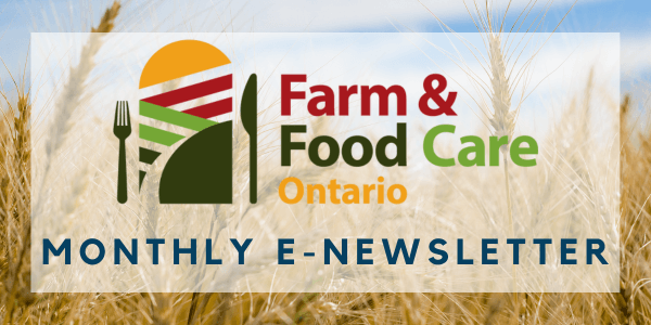 Newsletter Banners (33)