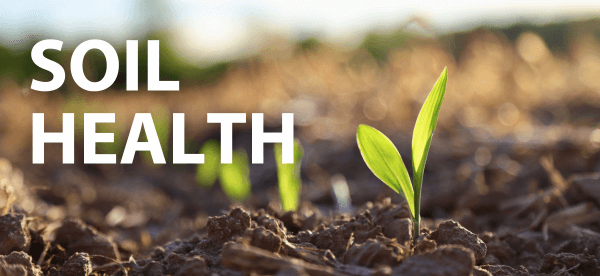 Soil Health